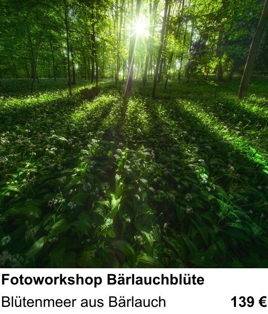 Lichtstarker Fotoworkshop rund um Fotoworkshop Bärlauchblüte: Blütenmeer aus Bärlauch