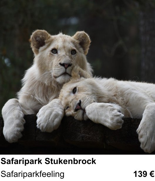 Lichtstarker Fotoworkshop rund um Safaripark Stukenbrock: Safariparkfeeling
