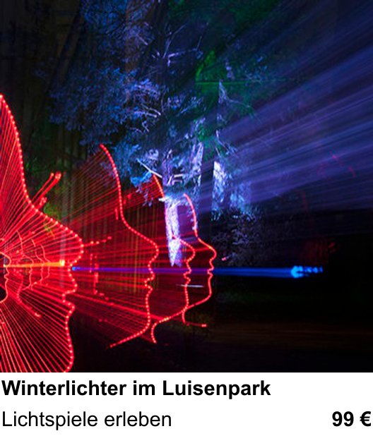 Lichtstarker Fotoworkshop rund um Winterlichter im Luisenpark: Lichtspiele erleben